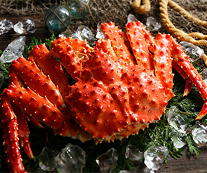 物販事業のイメージ