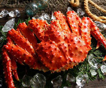 株式会社T.D.Aの水産販売事業